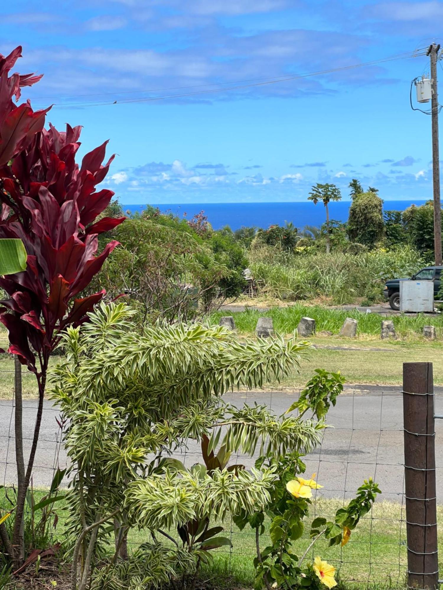 Private Ohana On The Lush Hamakua Coast With Ac Honokaa Eksteriør billede