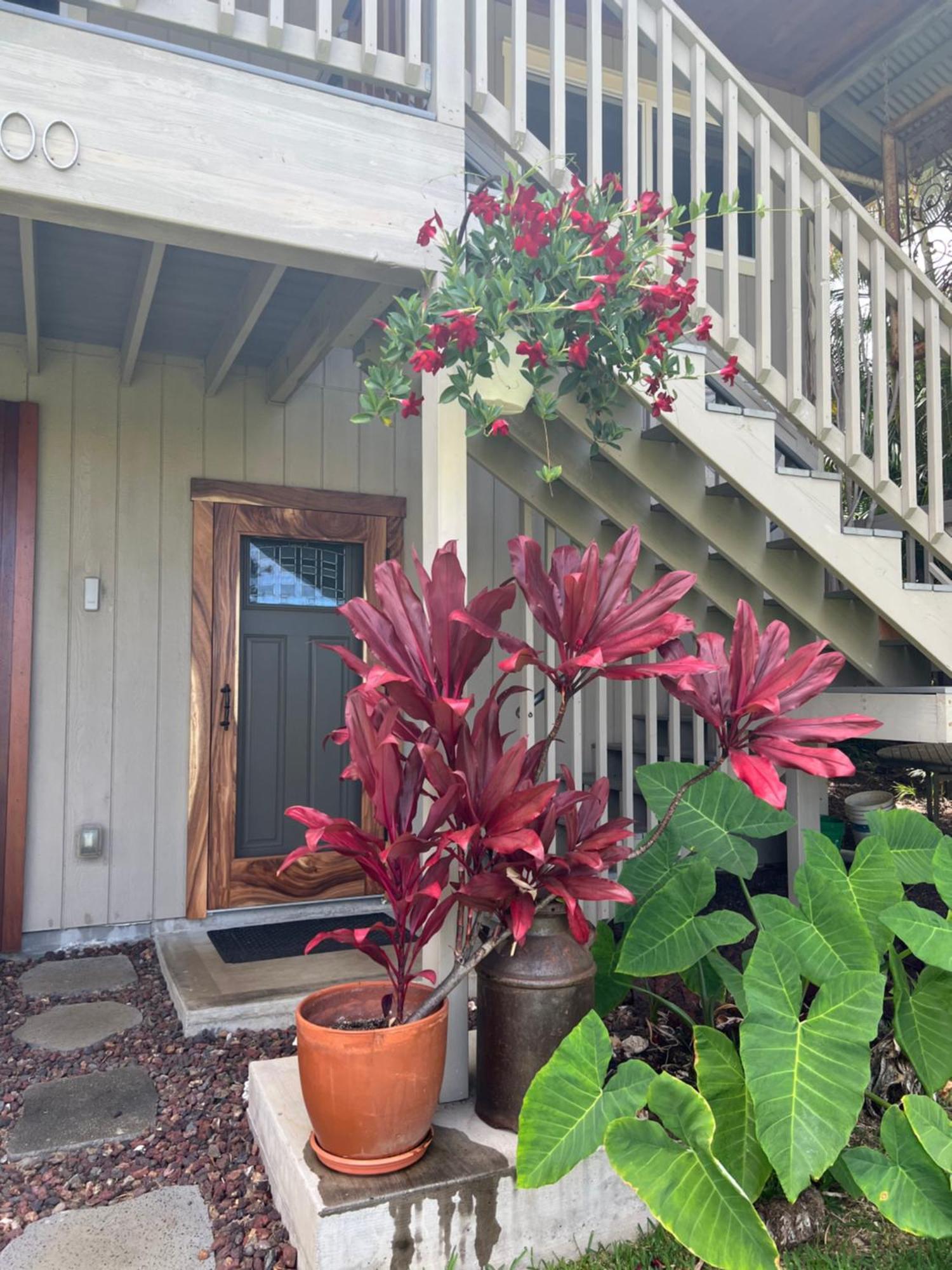 Private Ohana On The Lush Hamakua Coast With Ac Honokaa Eksteriør billede