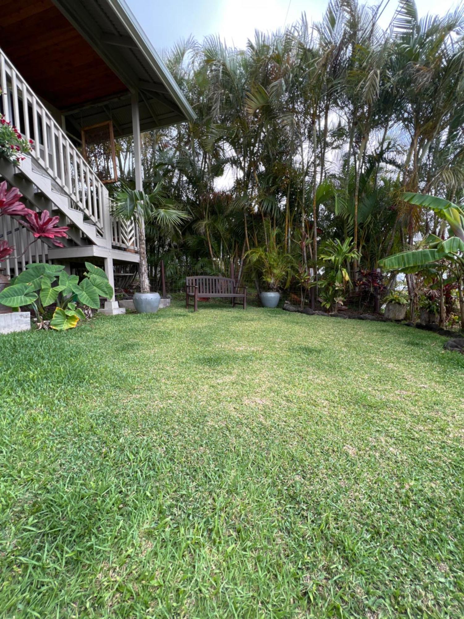 Private Ohana On The Lush Hamakua Coast With Ac Honokaa Eksteriør billede